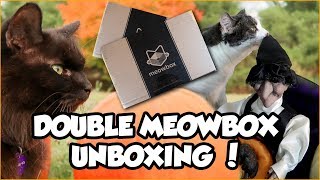 meowbox Unboxing - Cat Subscription Box - September / October 2017