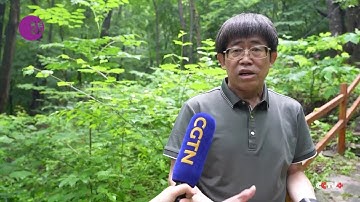 Chinese Scientists Achieve Significant Progress in Forest Carbon Data Research