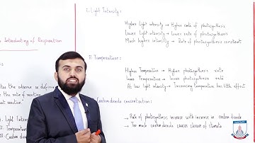 Class 9 - Biology - Chapter 7 - Lecture 5 Limiting factores for photosynthesis Allied Schools