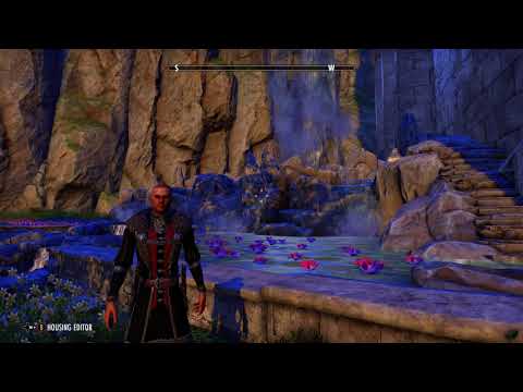 The Elder Scrolls Online: Emote - Wash Your Damn Hands