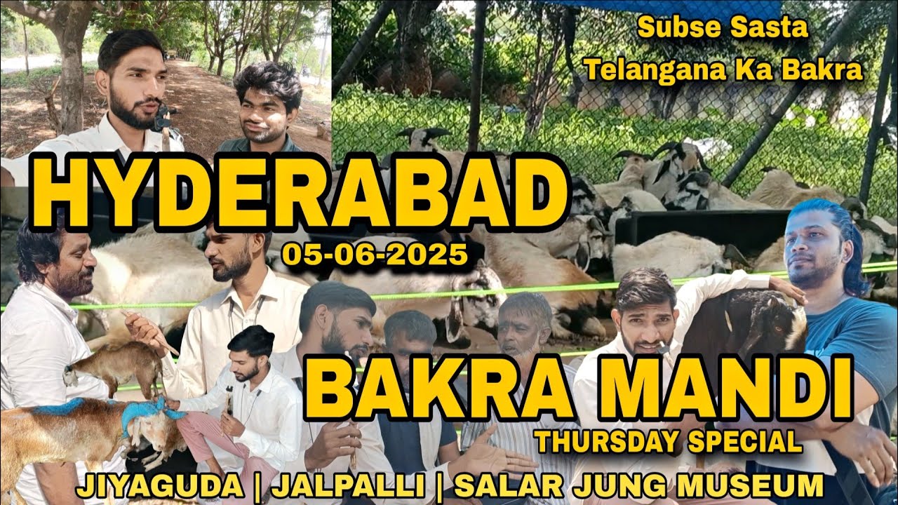 HYDERABAD BAKRA MANDI | JIYAGUDA 05-06-2025 | HYDERABAD JIYAGUDA BAKRA MANDI | goat market