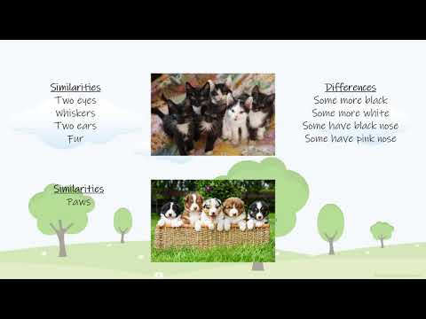 Heredity 1st Grade Concept Explaination Video Final