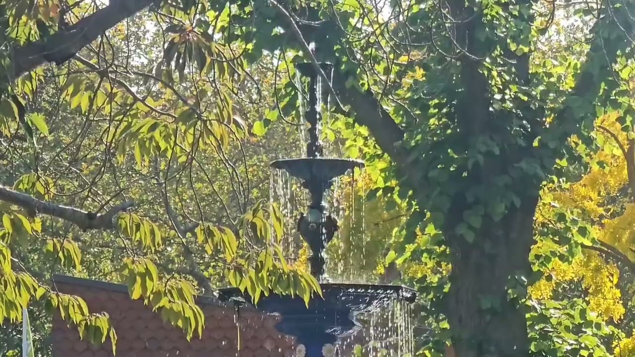 Nature Sounds: Garden Fountain Surrounded by Trees 🌳 Relaxing Ambience Video 💧🍃🌿