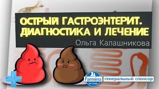 Острый гастроэнтерит. Диагностика и лечение