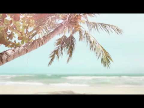 American Auto Sales Group Llc Royal Palm Beach Reviews