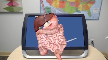 Prepare for Health Careers With zSpace