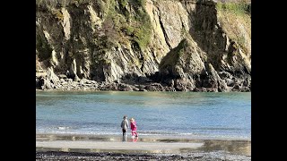 Coastal Foraging in February with Wild Food UK