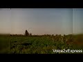 تسجيلات نادرة الشيخ على ربيع سورة الواقعة
