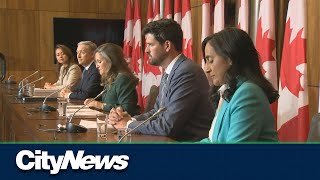 Liberals table affordability bill