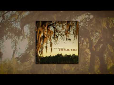 Cole Swindell - One Day (Audio)
