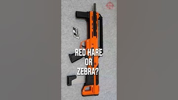 Red Hare or Zebra? ZWQ S400 Bullpup Springer Nerf Blaster