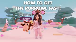 How To Get The Purrowl Fast In Adopt Me