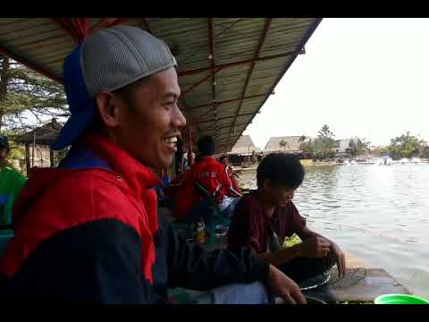 mancing-galatama-ikan-mas