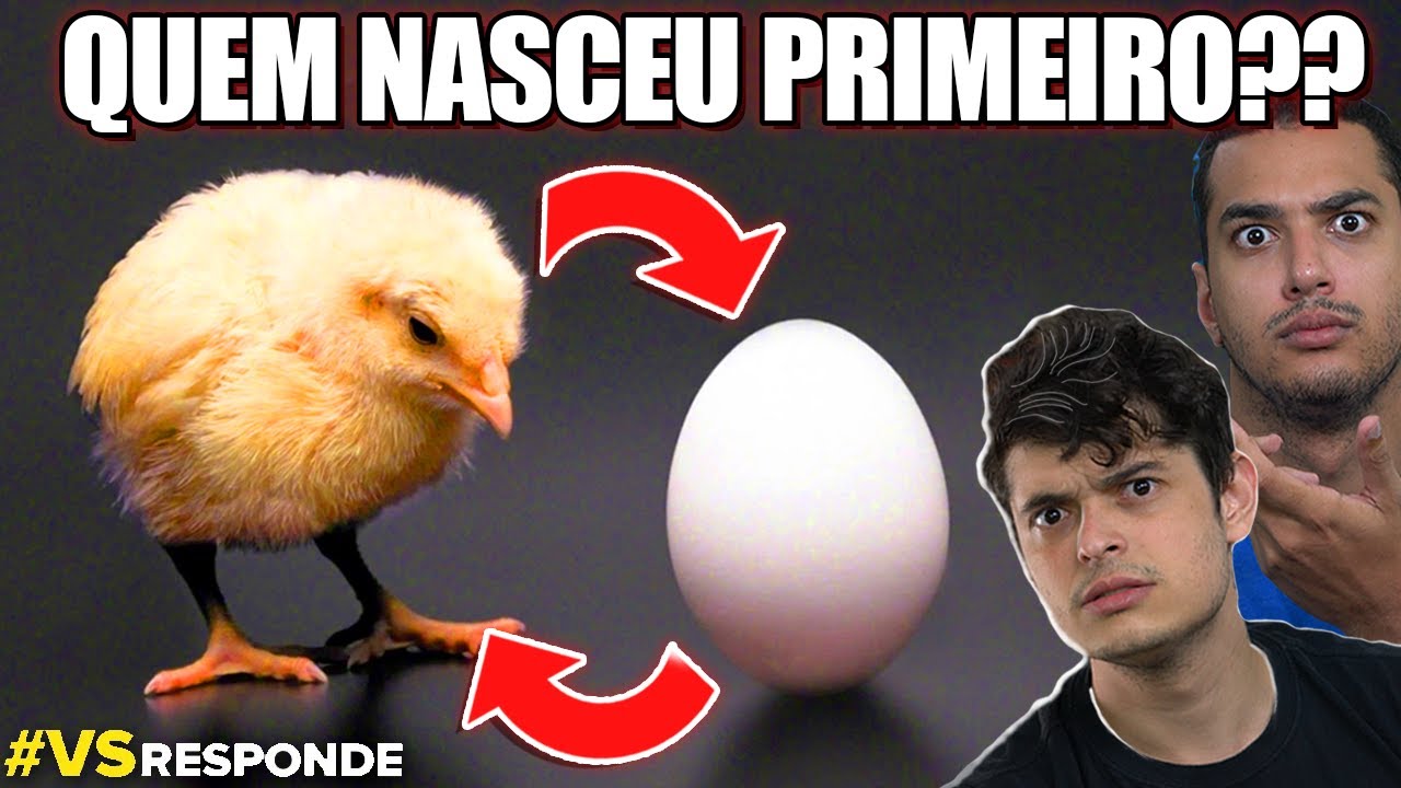 Quem Veio Primeiro O Ovo Ou A Galinha Yahoo