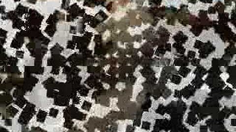 F.E.A.R. Combat = Owned