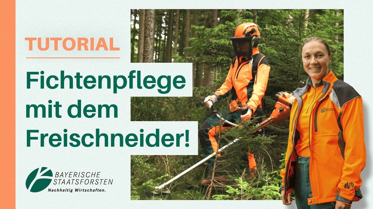 Fichten‑Pflege wie die Profis: Jungbestand richtig behandeln + Freischneider‑Tricks 🌲