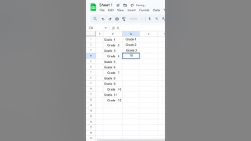 Remove Unwanted Spaces in Google Sheets with TRIM Function