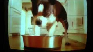 Great Value Paper Towel Dog