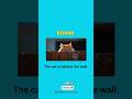 “Learn where the cat is! 🐱 On, in, between — quick and easy! #Shorts” #english