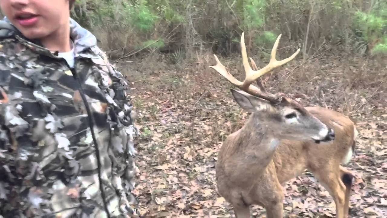 Duck Hunters Approached by Wild Buck ViralHog YouTube