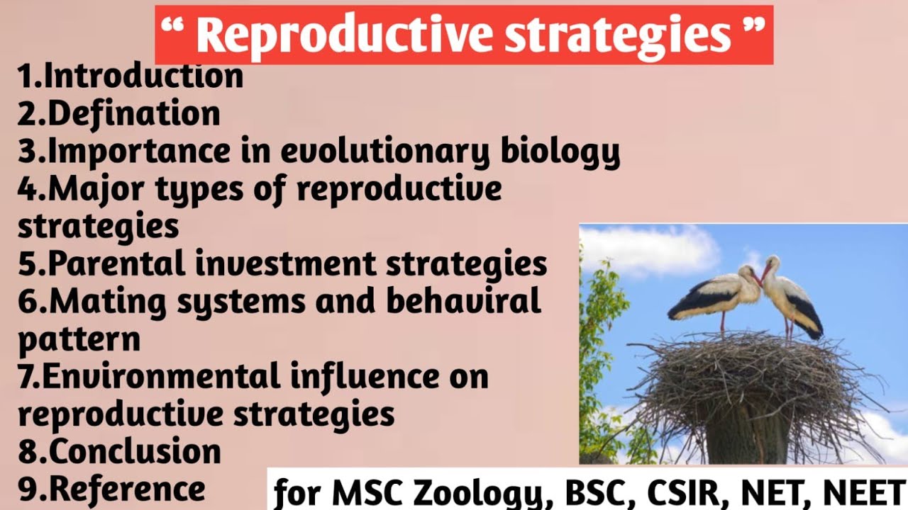 Reproductive Strategy Example Reproductive strategies | Importance | Major types | Parental ...