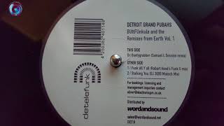 Detroit Grand Pubahs-Funk All Y All (Robert Hood Funk Mix)