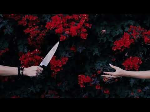 Alec Benjamin -The