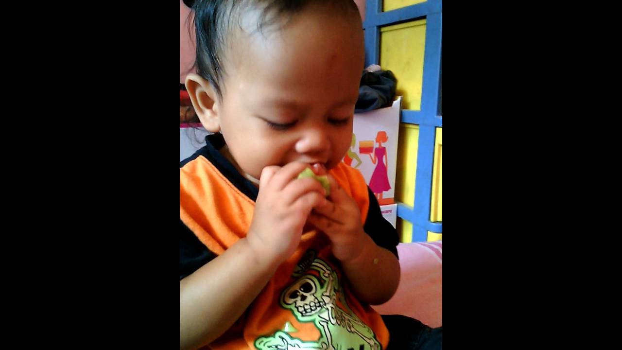 Video Lucu Bayi Saat Makan YouTube