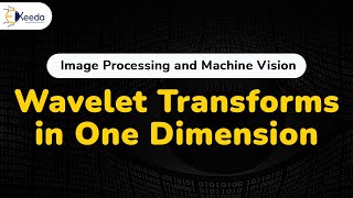 Famous Wavelet Transforms in One Dimension - Wavelets and Multiresolution Processing - Image Processing Net Worth