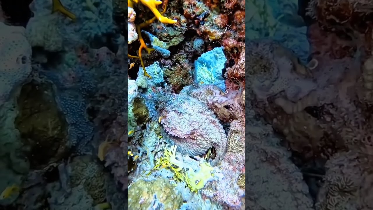 “Would you dare to dive this deep?”