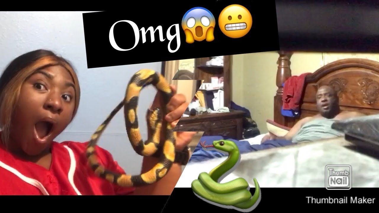 EXTREME SNAKE PRANK ON MY DAD (MUST WATCH)😱🤣🤣 *Hilarious* YouTube
