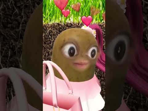 هو با تيتو مامبو