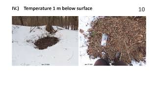ZwoF Doc no257   Forest Soil Temperature Studies