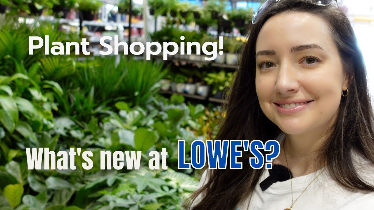 Lowe's Plant Shopping! What's new at Lowe's Big Box Store October 2022 YouTube