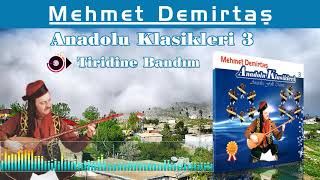 Mehmet Demirtaş - Tiridinebandım Resimi