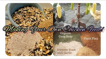 Best of Self-Made Chicken Feed for your Chickens to be Healthier & Stronger | Fun Cute Pets Bonding