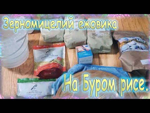 54. Зерномицелий ежовика гребенчатого на буром рисе. Серия -1- "Начало"
