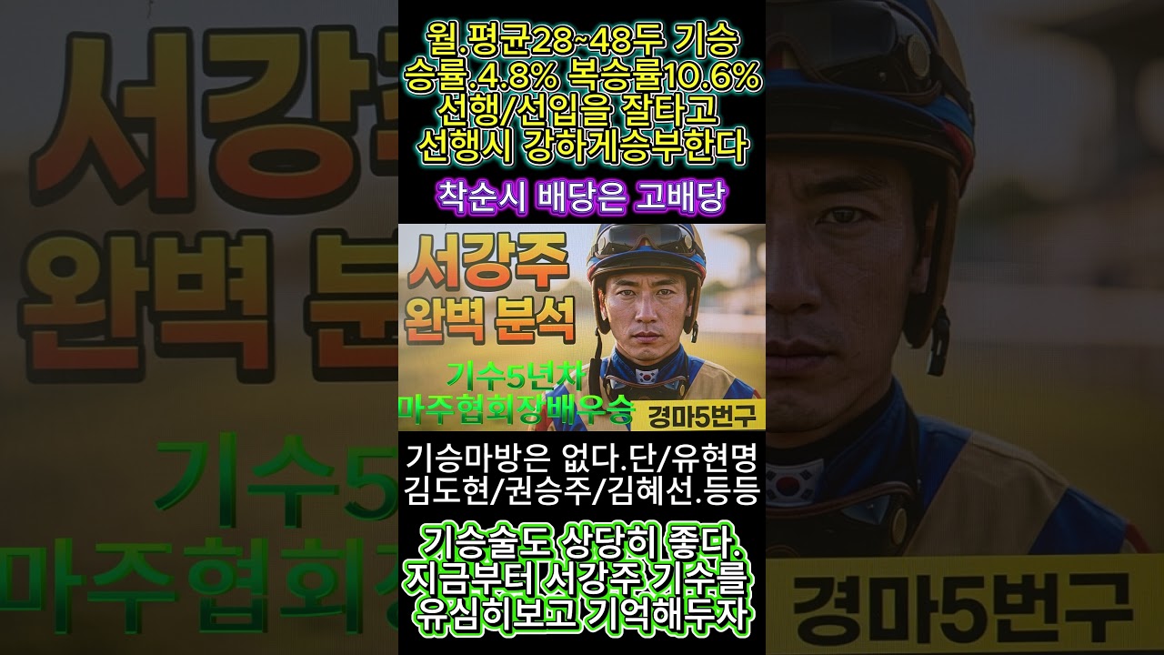 기수5년차 서강주 #경마예상#기수#조교사#철저한분석