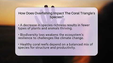 How Does Overfishing Impact The Coral Triangle