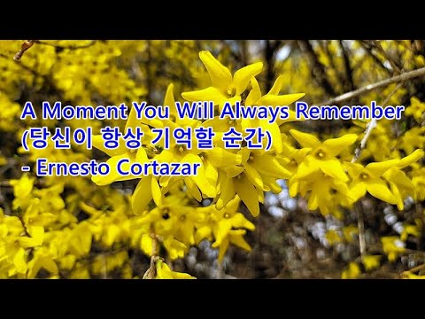 개나리 &amp;<strong>amp</strong>; A <strong>Moment</strong> You Will Always Remember (당신이 항상 기억할 순간) /   Ernesto Cortazar &amp;<strong>amp</strong>; photo by 체칠리아