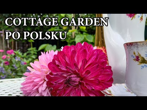 Jak zaprojektować rabatę w stylu angielskim / COTTAGE GARDEN style / Kwiaty w ogrodzie / MrsGarden