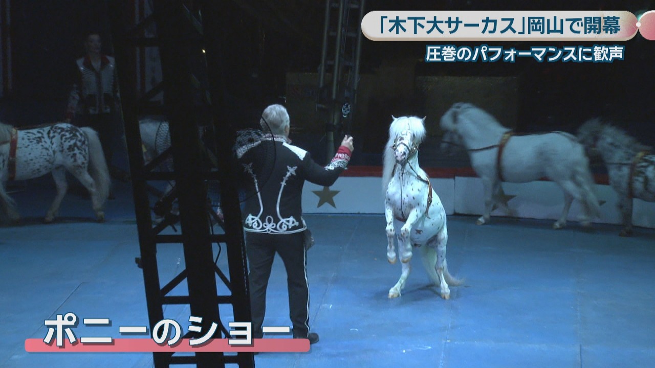 Kinoshita Circus Returns to Okayama After 4 Years, Captivating