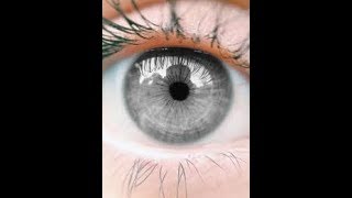 top 10 grey eye facts