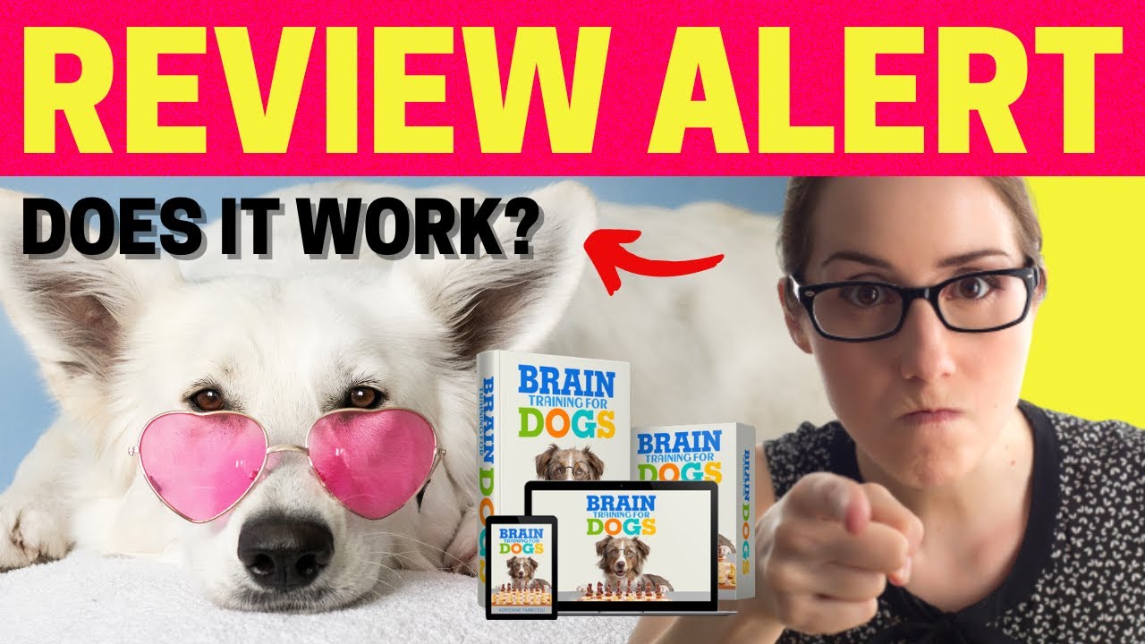 Brain Training 4 Dogs Review