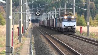 ED79形(50番台)電気機関車牽引コンテナ貨物列車~津軽海峡線津軽今別駅通過~