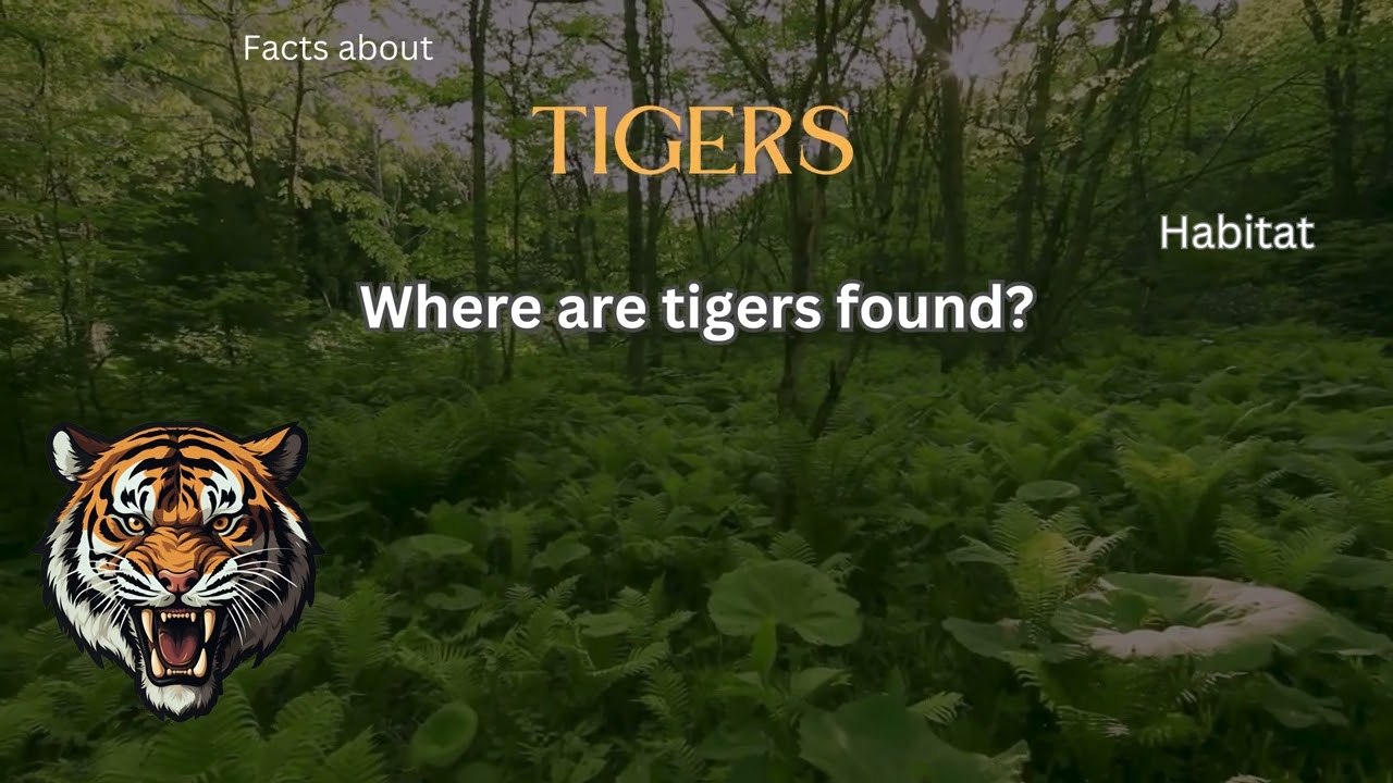 Tiger Fact 4 - Where are tigers found?