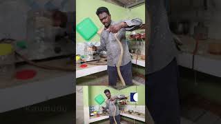 Watch Vava Suresh Catch Two Large Cobras Inside a House! #vavasuresh #snakemaster