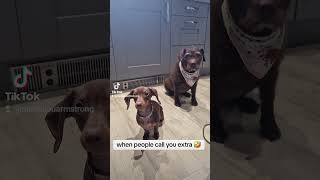 When People Call You Extra