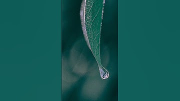 Mobile Lightroom Editing | Dark & moody | Editing by- Kabir thakur