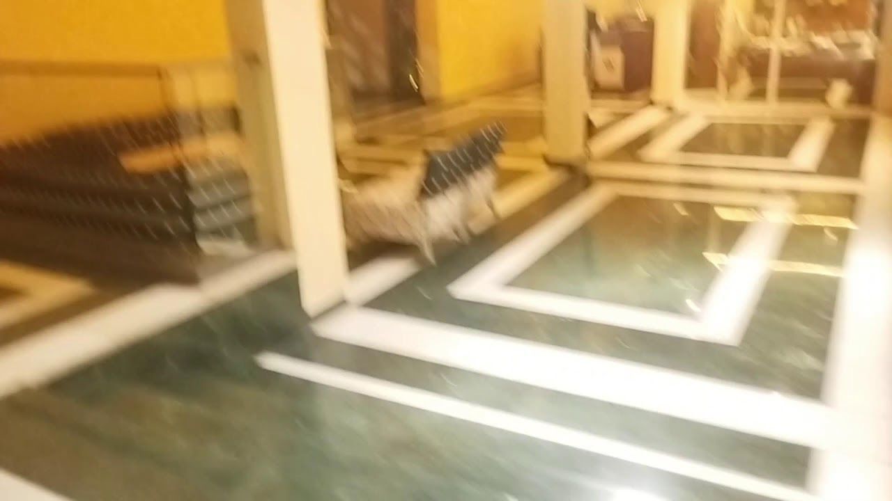 HPRC Arena Polo Match 28/1/2026